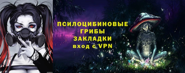 a pvp Каменка