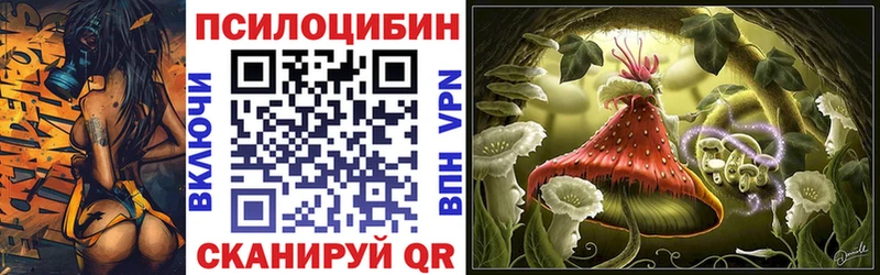 Псилоцибиновые грибы GOLDEN TEACHER  ссылка на мегу tor  Котлас  купить  цена 