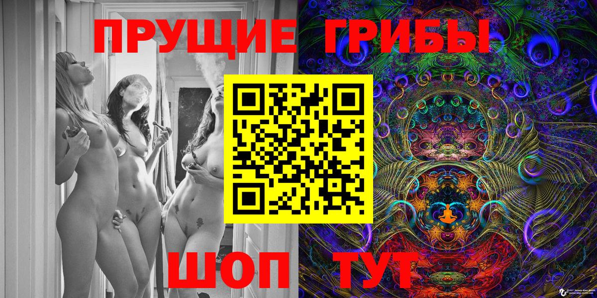 Псилоцибиновые грибы мицелий Котлас