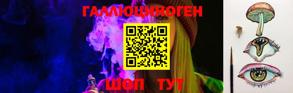 Котлас  Псилоцибиновые грибы Psilocybe  Вход с VPN 